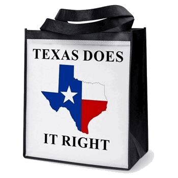 Tote Bag Diaper Bag  - Texas